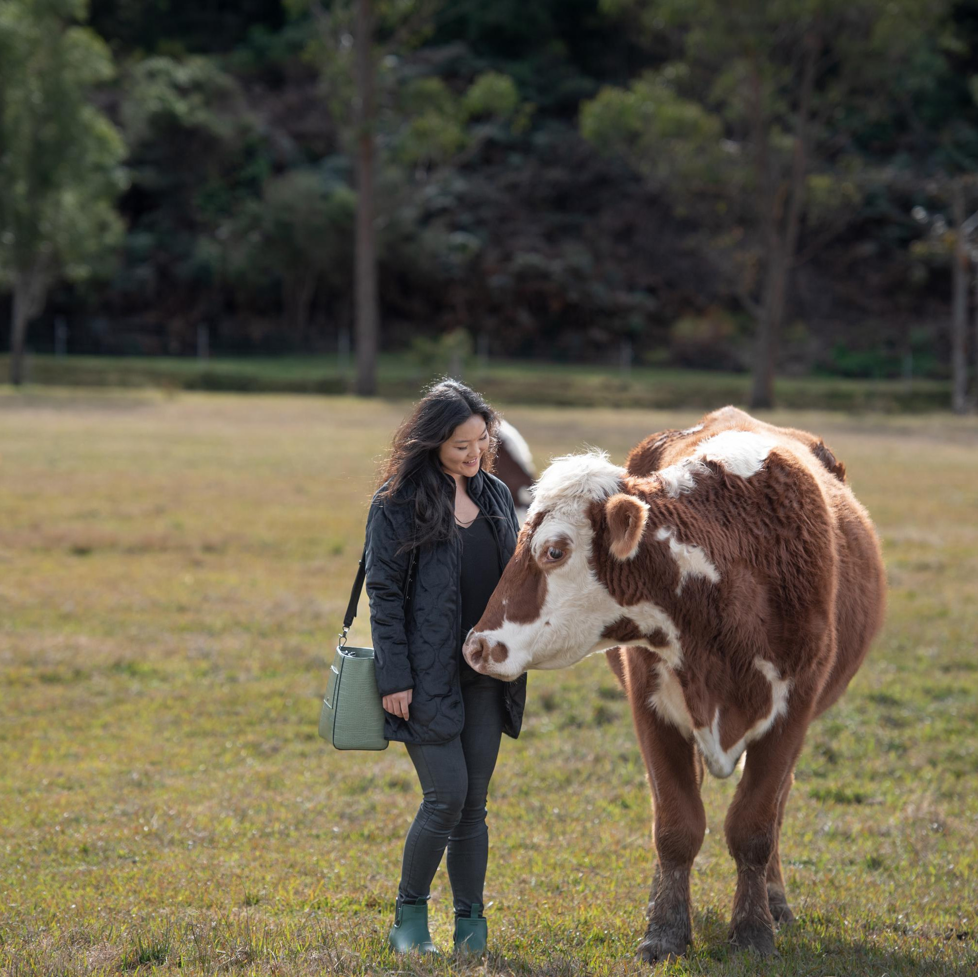 Woman standing next to rescued cow