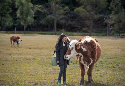 Wear it Kind gudies and FAQs Woman and a cow