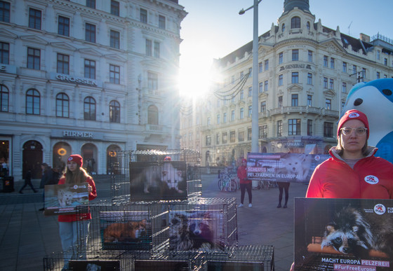 Fur ECI action in Vienna