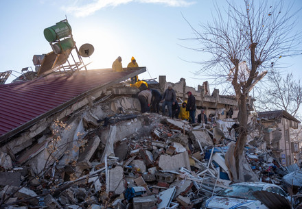 Rescuers holding puppies trapped by earthquake debris