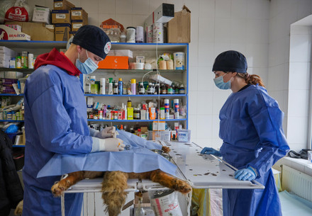 SAC activities in Ukraine