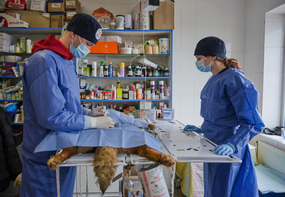 Mobile Clinic team in Ukraine started their SAC work in 2023 in Sirius Shelter