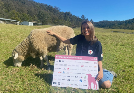 Rebecca Picallo Gil, FOUR PAWS mulesing campaigner
