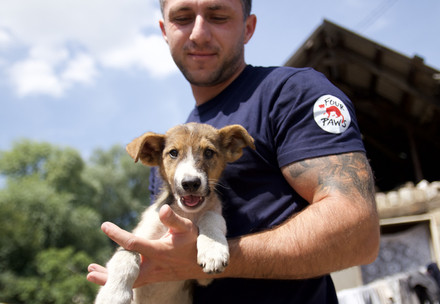 A first-aid kit for your dog