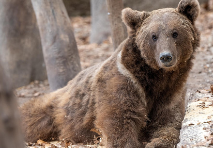 Altiagac Centre in Azerbaijan