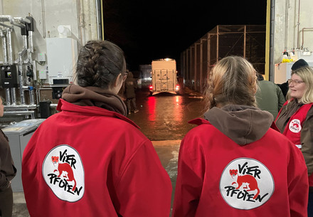 White tigress Ramba is arriving at TIERART in Germany