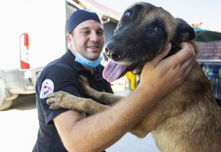 FOUR PAWS veterinarian is cuddling a stray dog in Kosovo