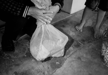 Cat trapped in a bag