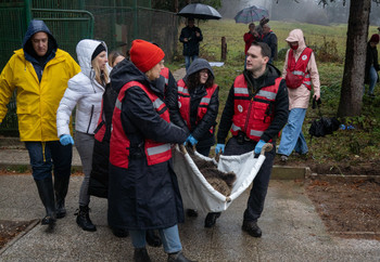 Team transporting brown bear