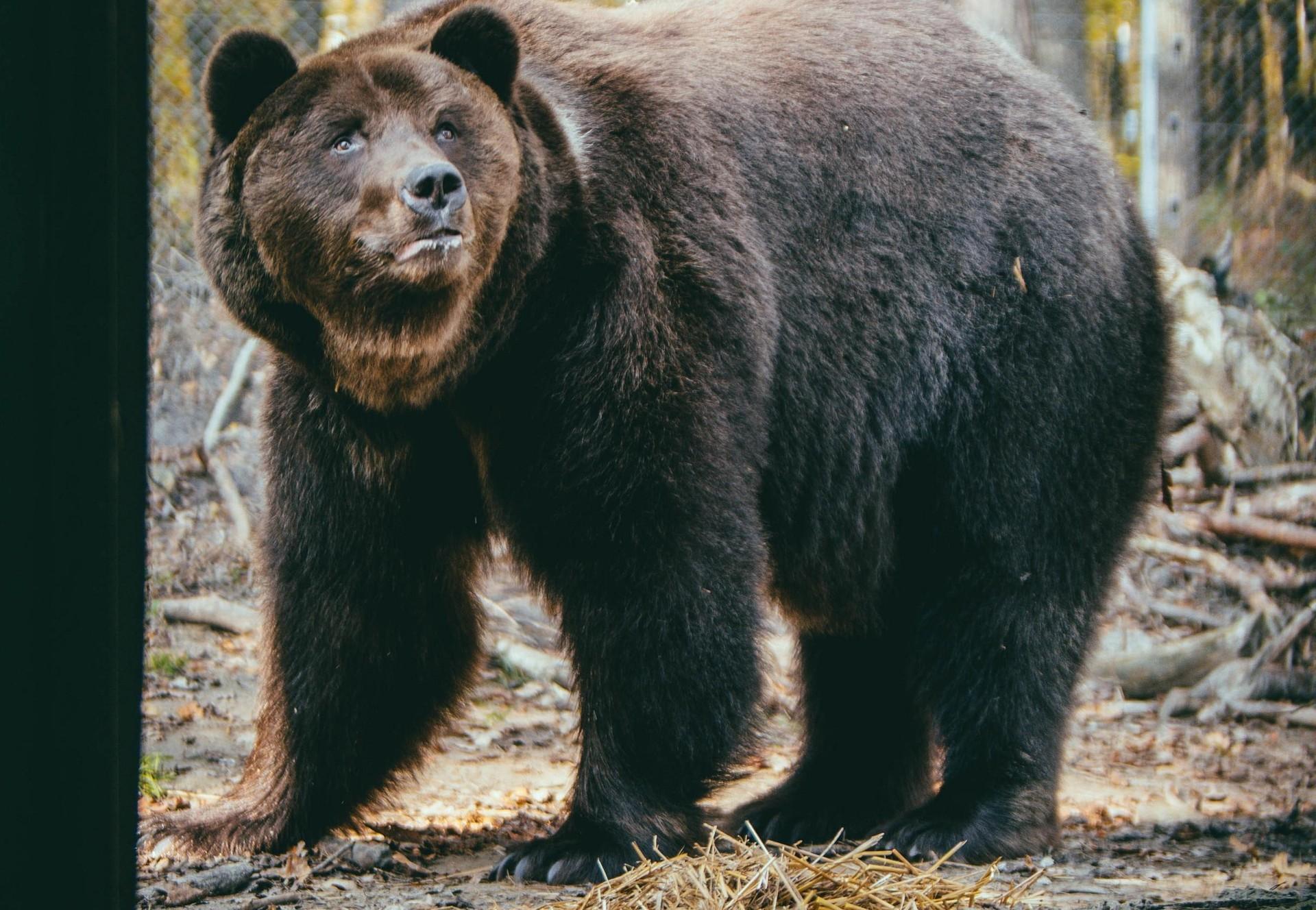 FAQs on the Situation in Ukraine