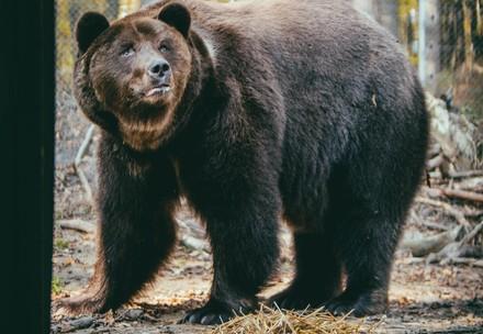 FAQs on the Situation in Ukraine