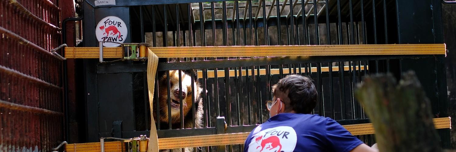 FOUR PAWS rescue mission