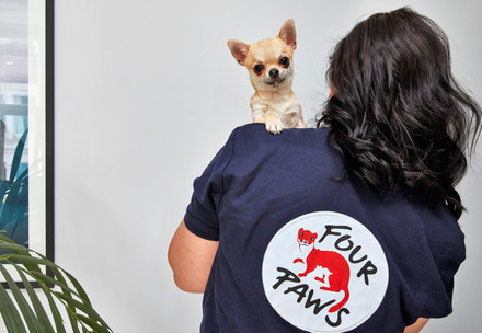 Stop the Illegal Puppy Trade