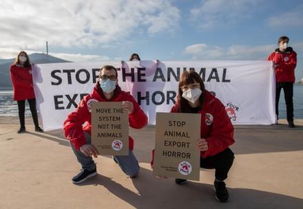 Campaigners in Spain