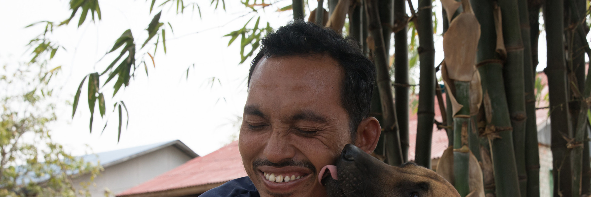 Rescued dog Jackson, Cambodia