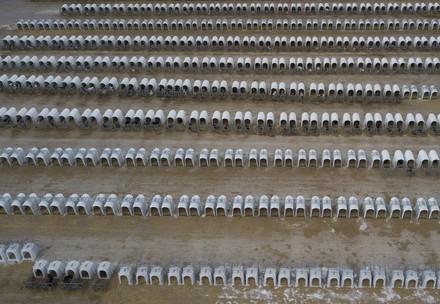 Investigation into calf farms in Spain