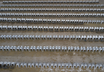 Investigation into calf farms in Spain