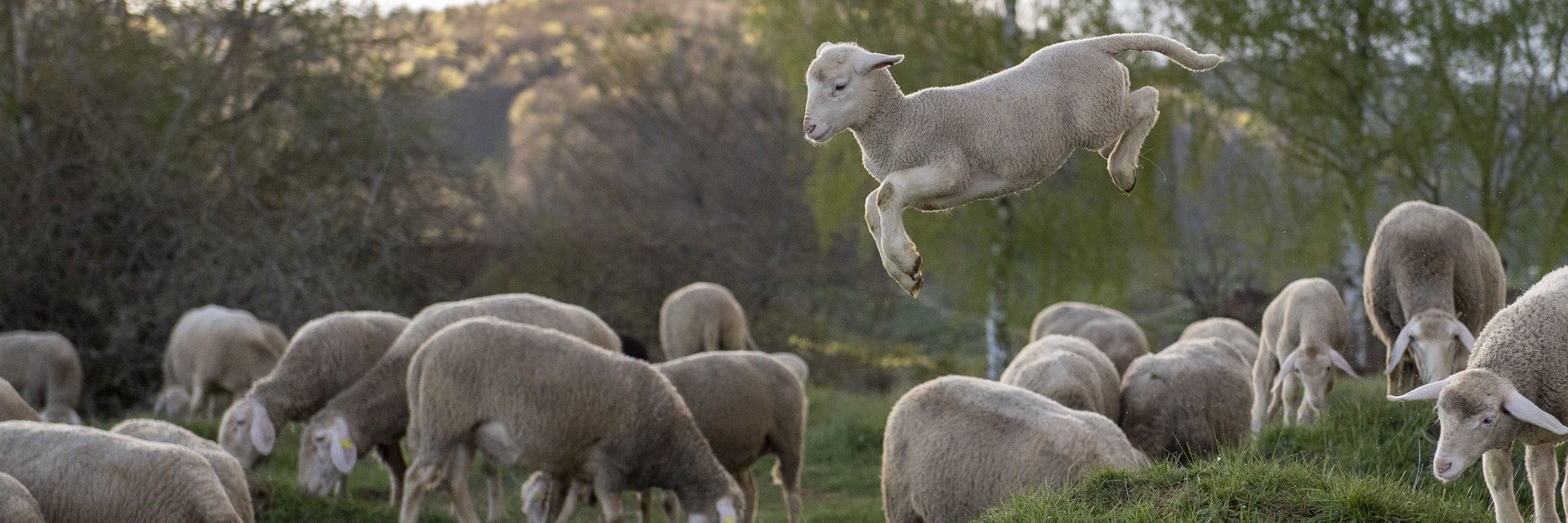 Kinder fashion starts with you!