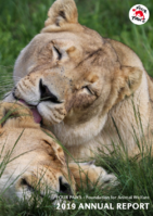 2019 Annual Report (6.6 MB)