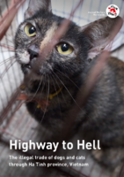 Highway to Hell
