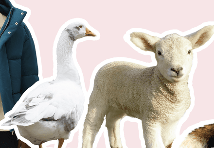 WiK Brand Directory WiK Brand Directory