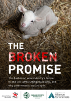The Broken Promise: