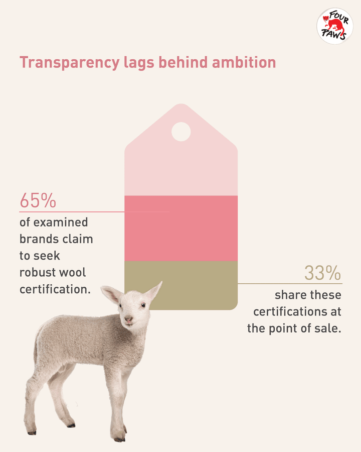 Graphic on transparency lags behind amibition Graphic on transparency lags behind amibition