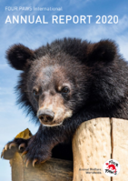 2020 Annual Report (5 MB)