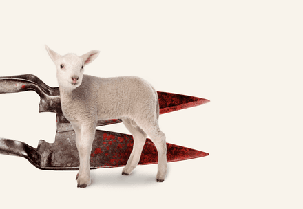 Michael Kors: Protecting Lambs Is Not a Luxury Lamb in front of a bloody scissor