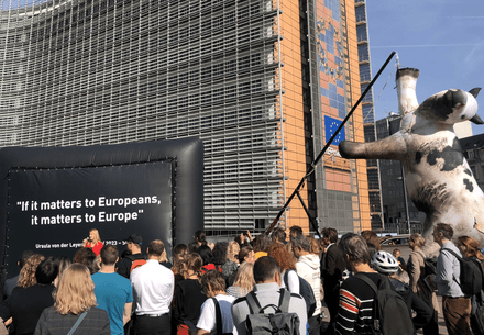 Animal Welfare Organisations Demand Promises to be Kept on New EU Laws