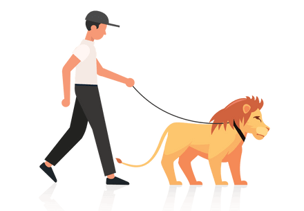 The life cycle of exploitation