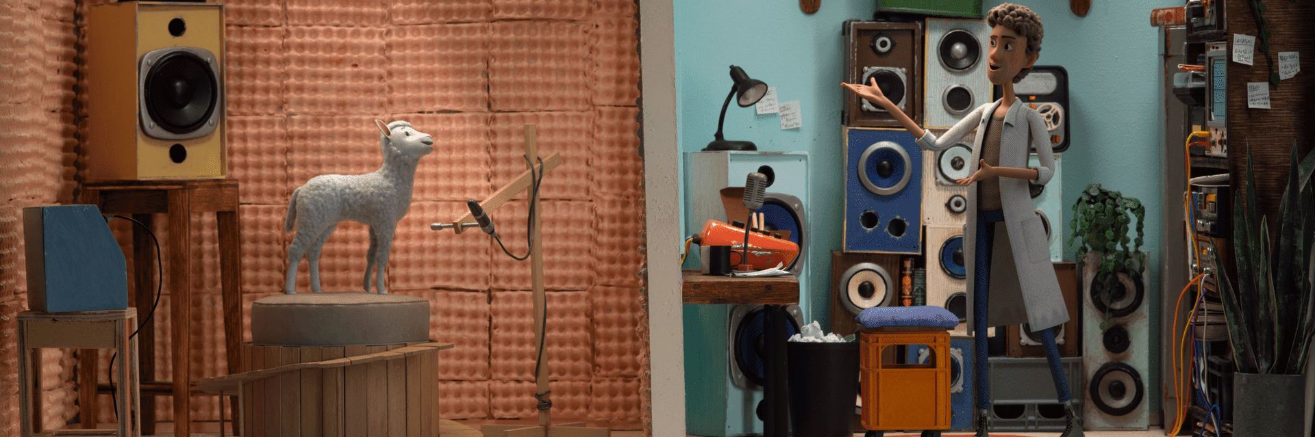 Lamb Sunny is being carried out by a farmer Lamb Sunny is being carried out by a farmer