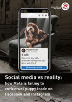 Social Media vs reality