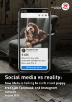 Social Media vs reality