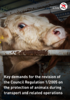 FOUR PAWS Key Demands