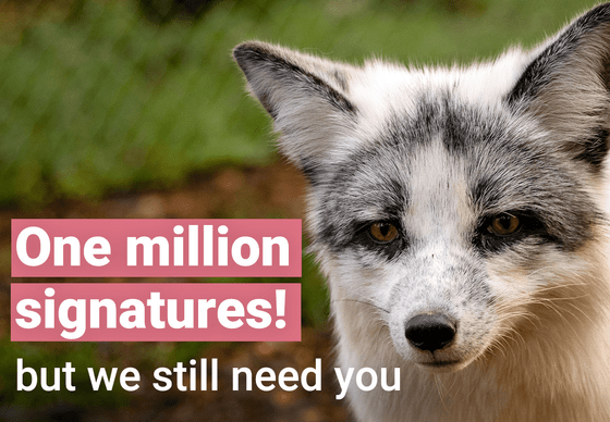 Social Media visual about reaching one million signatures