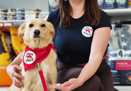 Rescue Dog Alisa AAI dog Alisa with her handler Antonia
